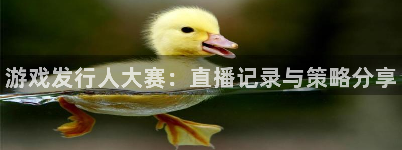 杏耀酒庄：游戏发行人大赛：直播记录与策略分享