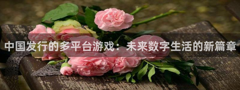 四川杏耀科技有限公司招聘：中国发行的多平台游戏：未来数字生活的新篇章