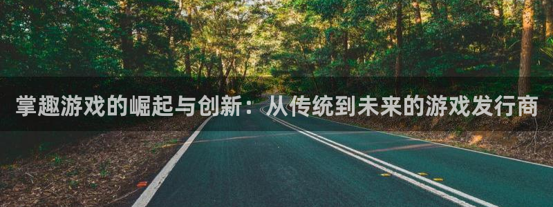 陕西杏耀子文化创意是干什么的：掌趣游戏的崛起与创新：从传统到未来的游戏发行商