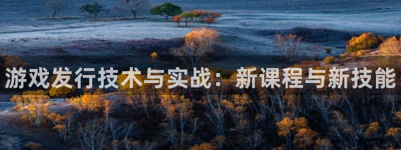 杏耀超纯啤酒怎么样：游戏发行技术与实战：新课程与新技能