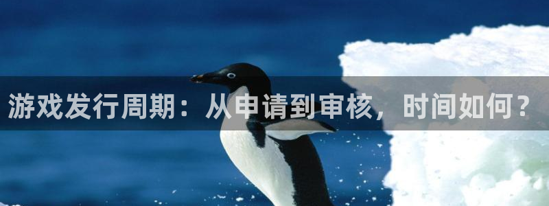 杏耀电子商务有限公司怎么样知乎