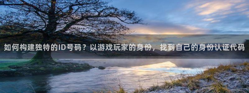 杏耀子财经图书：如何构建独特的ID号码？以游戏玩家的身份，找到自己的身份认证代码