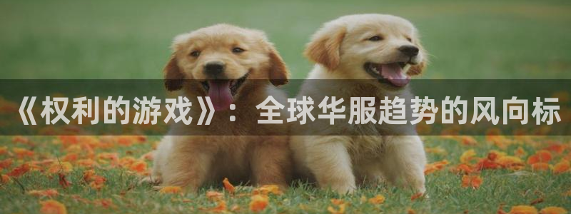 杏耀子教育科技(江门)有限公司