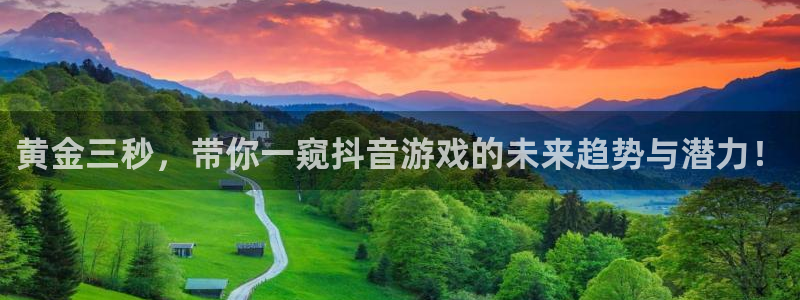 杏耀子公司怎么样：黄金三秒，带你一窥抖音游戏的未来趋势与潜力！