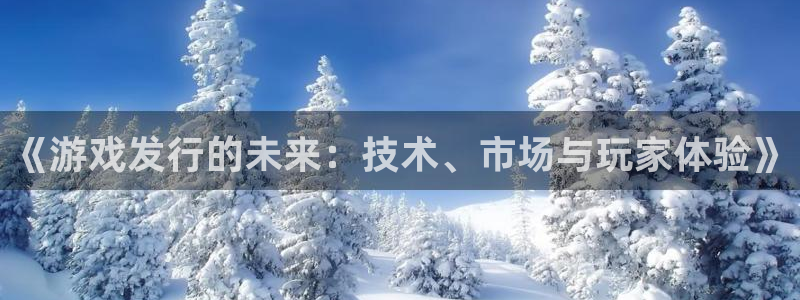 陕西杏耀子文化创意有限公司有什么游戏