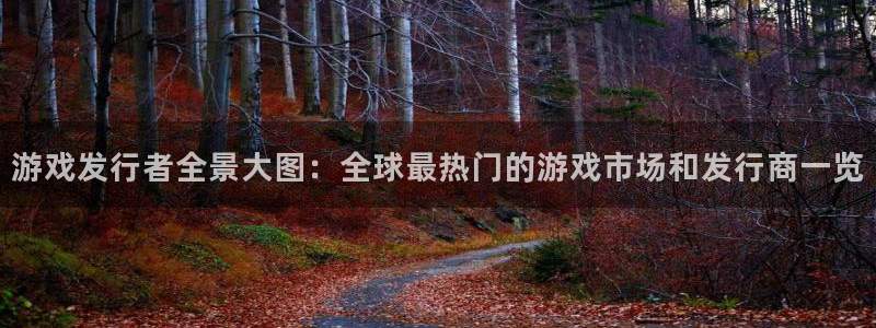 广东杏耀电子商务有限公司电话：游戏发行者全景大图：全球最热门的游戏市场和发行商一览