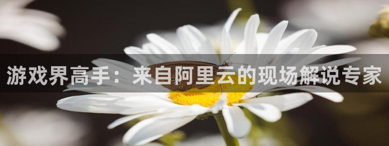 杏耀官网注册方法视频下载：游戏界高手：来自阿里云的现场解说专家