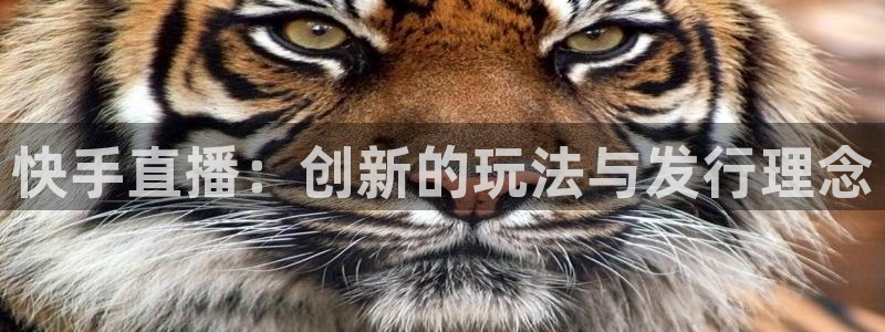 杏耀官网的奇趣腾讯是真的吗