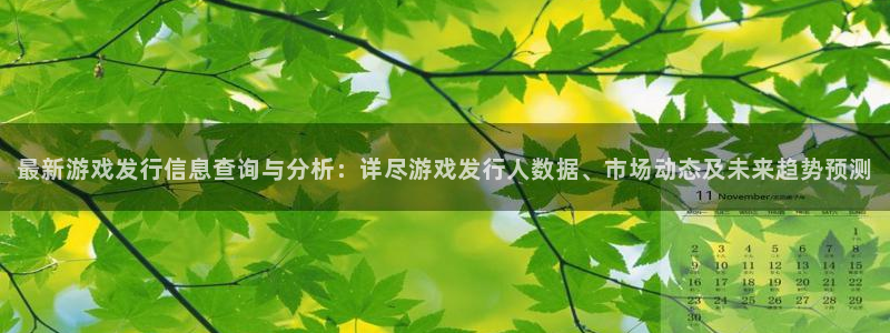 东莞杏耀信息科技有限公司：最新游戏发行信息查询与分析：详尽游戏发行人数据、市场动态及未来趋势预测