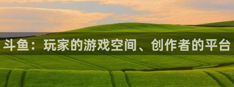 四川杏耀科技有限公司：斗鱼：玩家的游戏空间、创作者的平台