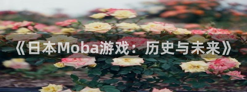 杏耀官网代理开号平台