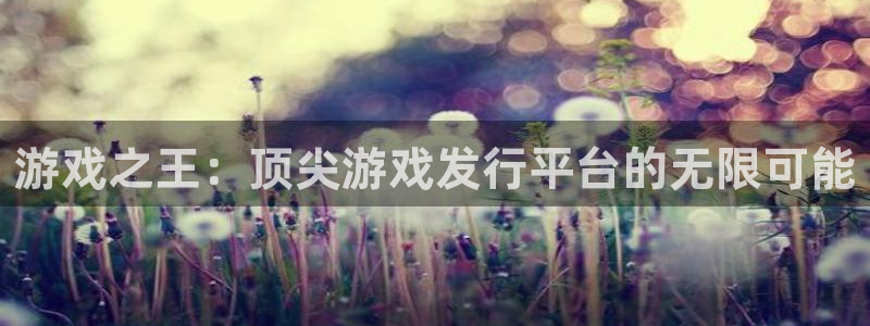 杏耀品牌顾问有限公司：游戏之王：顶尖游戏发行平台的无限可能