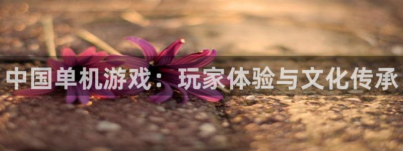 杏耀lvnces是什么档次