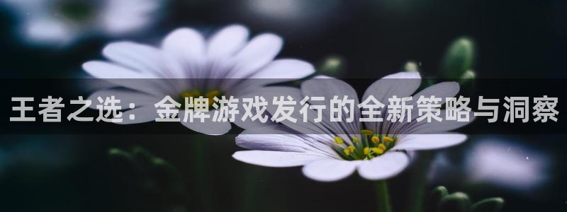 四川杏耀科技有限公司怎么样