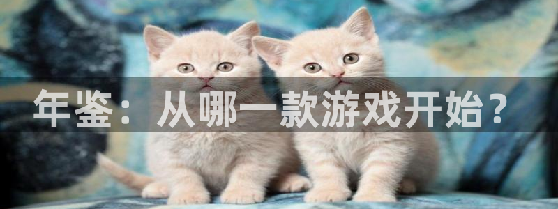 杏耀科技有限公司：年鉴：从哪一款游戏开始？