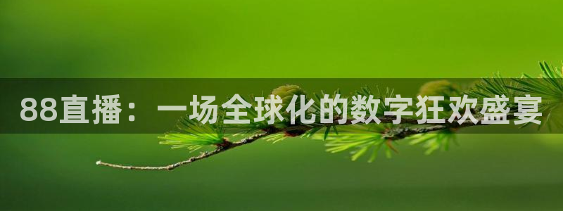 857直播体育nba回放：88直播：一场全球化的数字狂欢盛宴