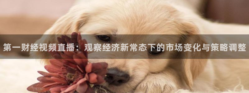 雨燕体育857直播：第一财经视频直播：观察经济新常态下的市场变化与策略调整
